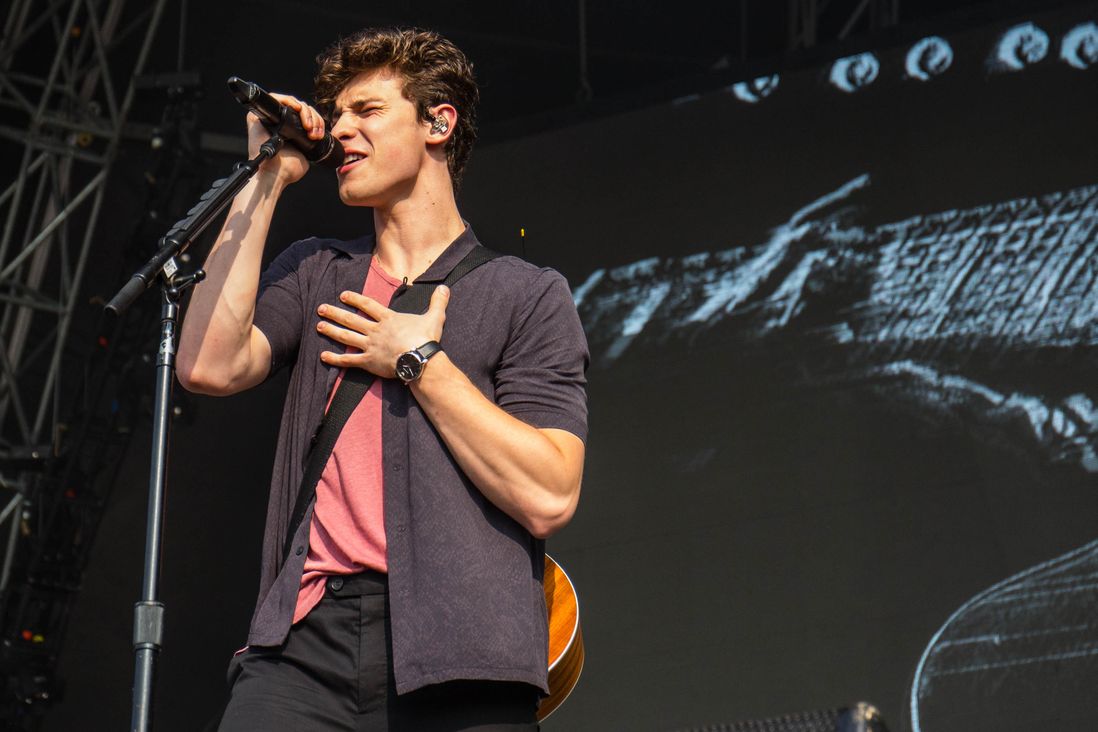 Shawn Mendes<br/>